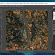 Image for article titled The Best Free Photoshop Alternatives